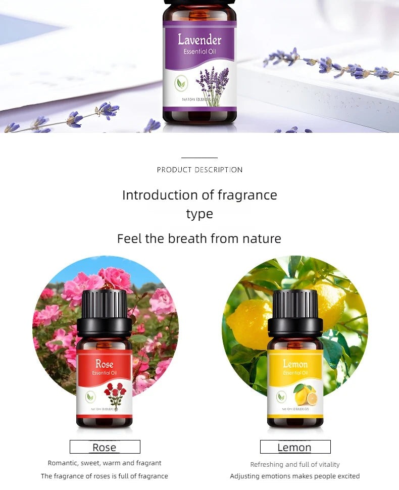 Ätherische Öle mit 18 Geschmacksrichtungen für Aromadiffusor, Luftbefeuchter, Zuhause, wasserlöslich, 10 ml, Lufterfrischer, Düfte, Duftöl, Parfüm