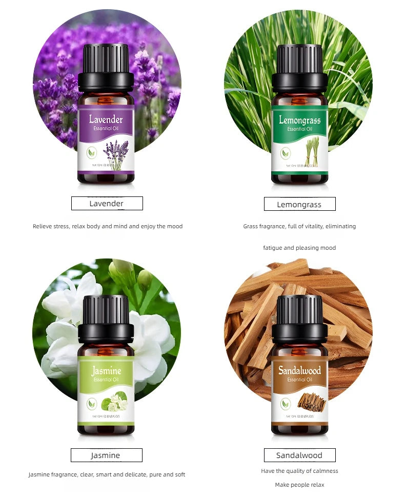 Ätherische Öle mit 18 Geschmacksrichtungen für Aromadiffusor, Luftbefeuchter, Zuhause, wasserlöslich, 10 ml, Lufterfrischer, Düfte, Duftöl, Parfüm