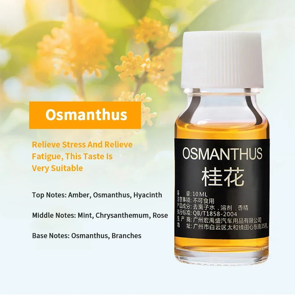 Ätherische Öle mit 18 Geschmacksrichtungen für Aromadiffusor, Luftbefeuchter, Zuhause, wasserlöslich, 10 ml, Lufterfrischer, Düfte, Duftöl, Parfüm