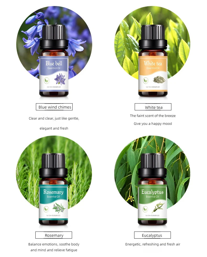 Ätherische Öle mit 18 Geschmacksrichtungen für Aromadiffusor, Luftbefeuchter, Zuhause, wasserlöslich, 10 ml, Lufterfrischer, Düfte, Duftöl, Parfüm