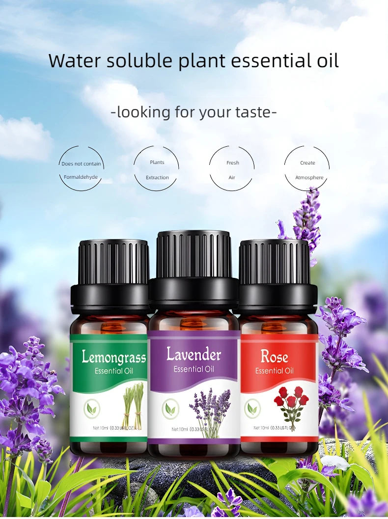 Ätherische Öle mit 18 Geschmacksrichtungen für Aromadiffusor, Luftbefeuchter, Zuhause, wasserlöslich, 10 ml, Lufterfrischer, Düfte, Duftöl, Parfüm